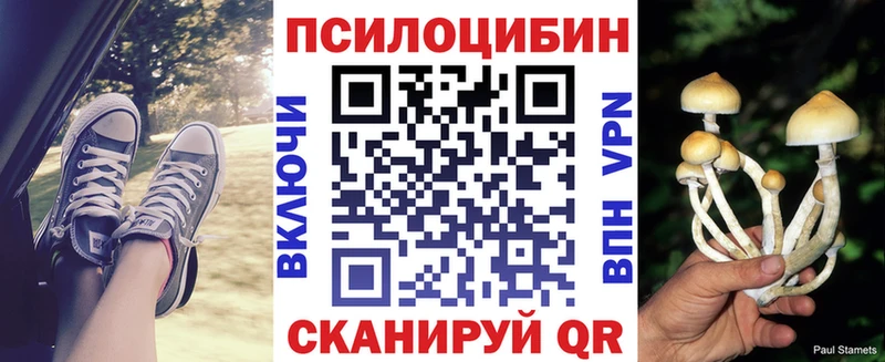 Псилоцибиновые грибы Cubensis  мега зеркало  Иркутск 